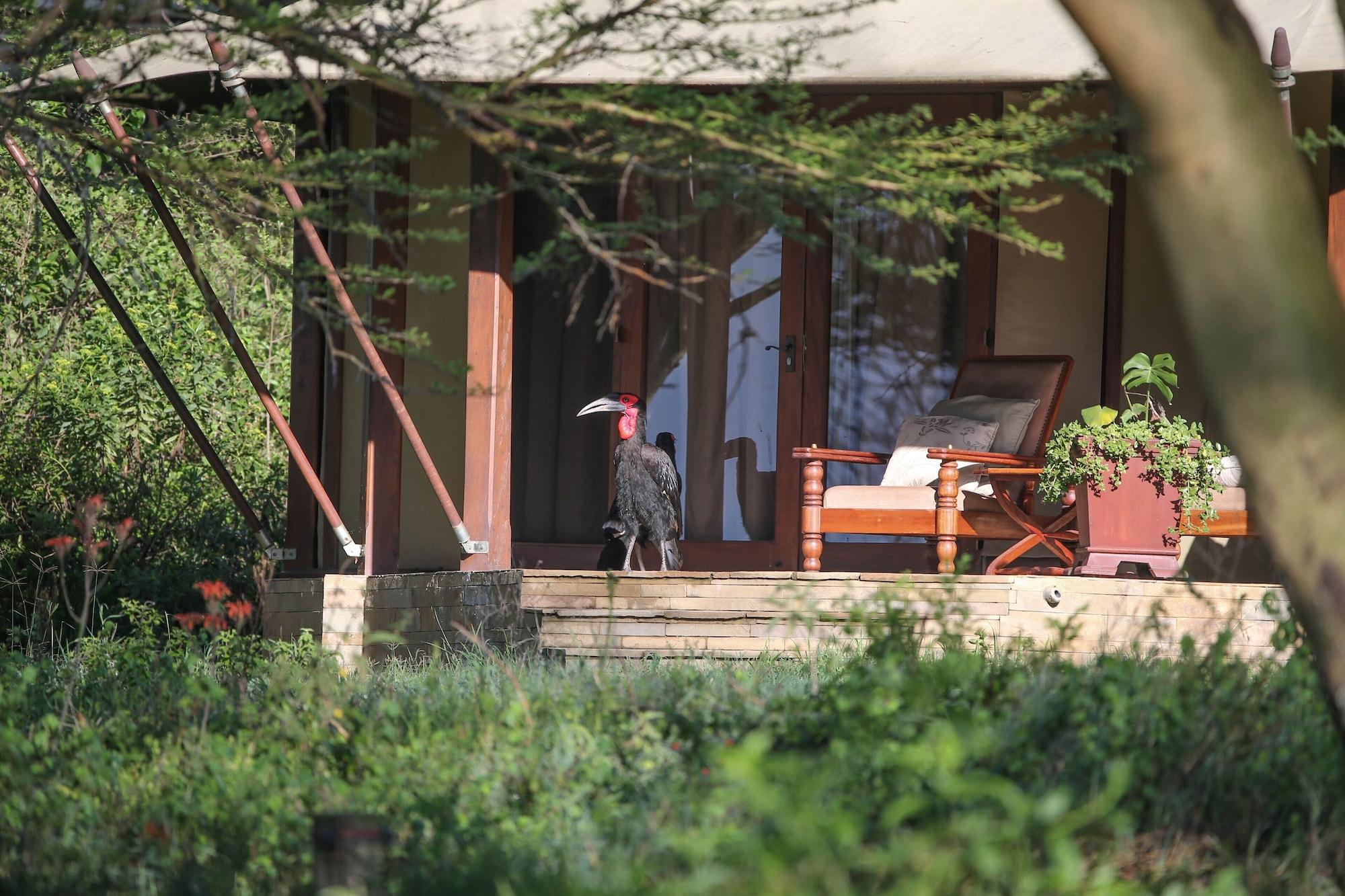 Lake Elmenteita Serena Camp Exterior foto